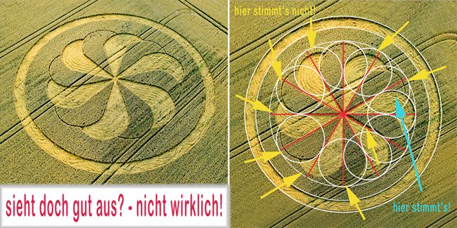 sieht-gut-aus-oder
